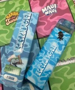 Beluga V2 3G Disposable