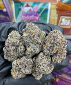 Sweet Exotic Traphouse Edition Premium Cannabis Flower